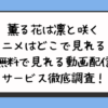 薫る花は凛と咲くアニメはどこで見れる？無料で見れる動画配信サービス徹底調査！